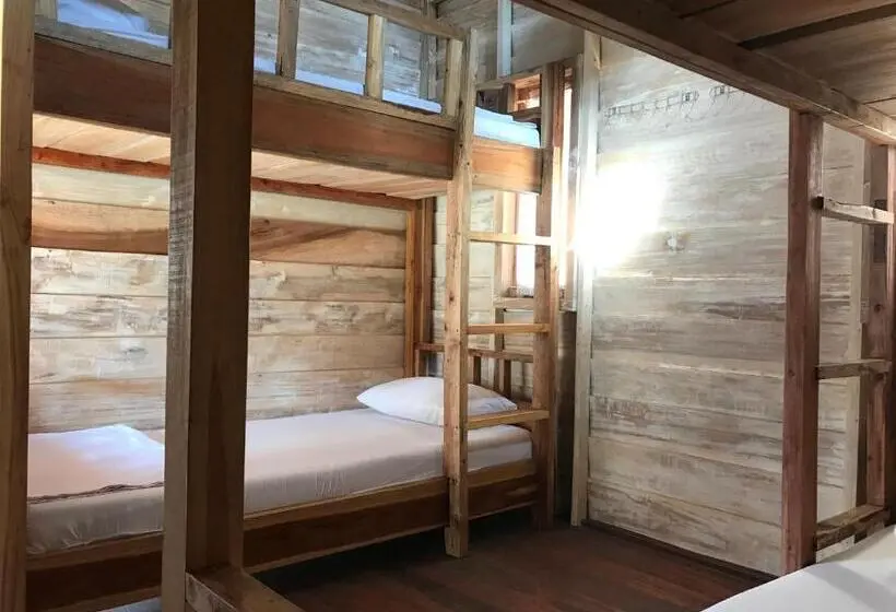 اتاق استاندارد چهارنفره با سرویس بهداشتی مشترک, Beranda Ecolodge
