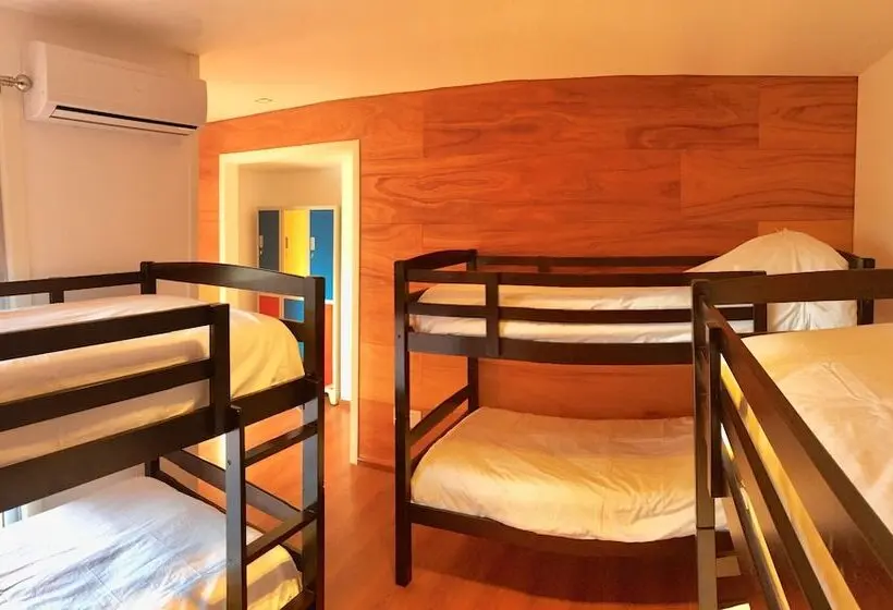ルームシェアのワンベッド, Circus Hostel&hotel Montevideo
