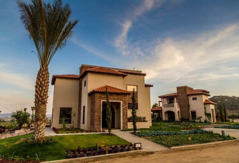 ジュニアスイート, El Cielo Resort