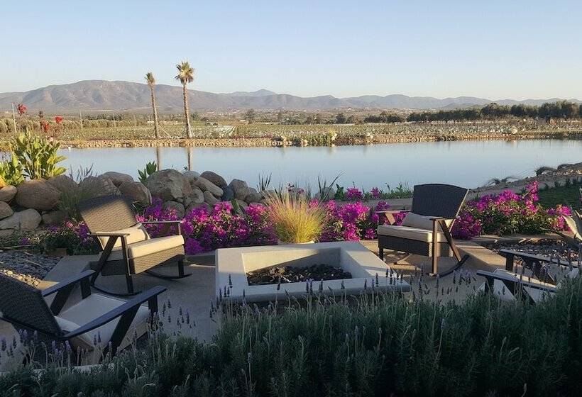 スタンダードルーム, El Cielo Resort