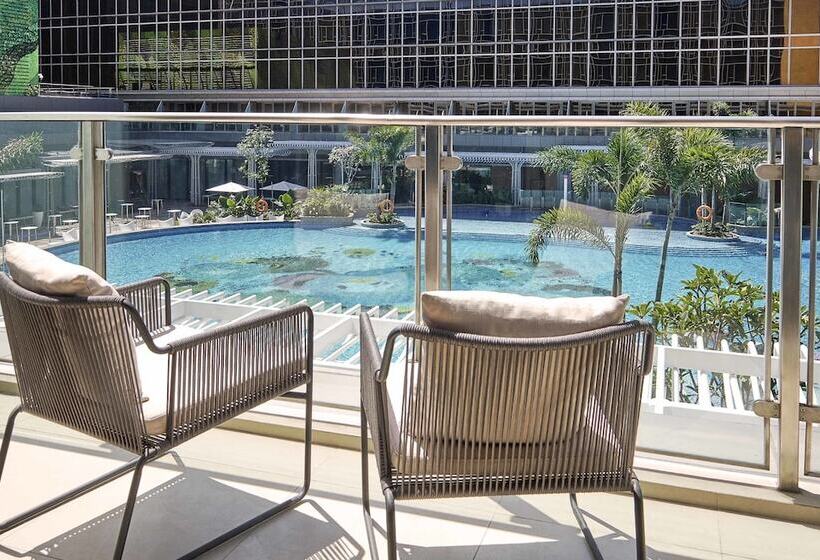 带泳池观景的行政房, Hilton Manila
