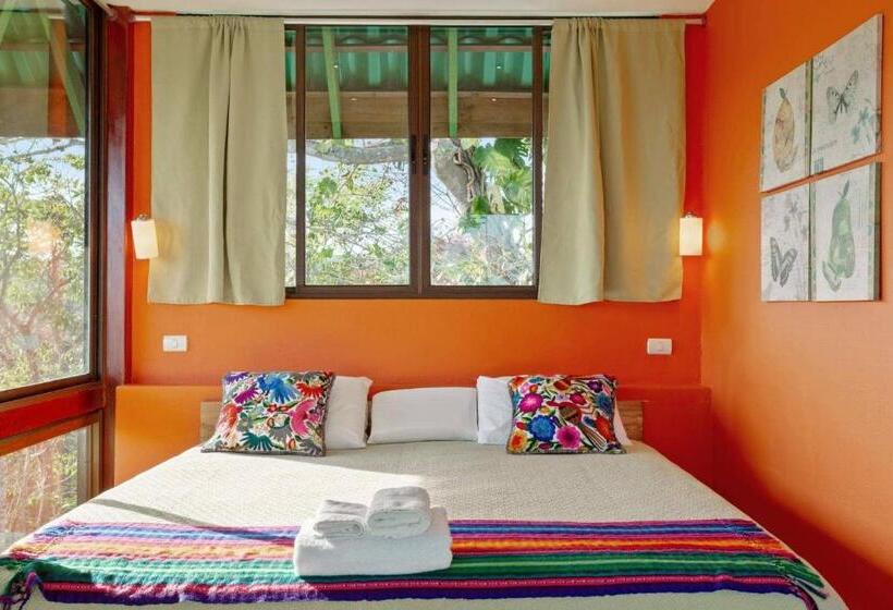 اتاق استاندارد چهار تخته با چشمانداز دریا, Anamaya Resort