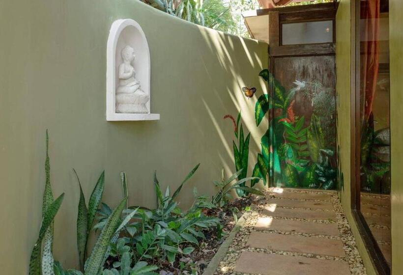 اتاق سه نفره سوپریور با چشمانداز دریا, Anamaya Resort