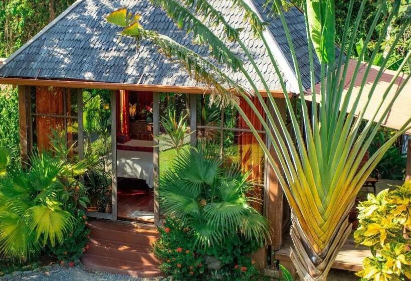 غرفة قياسية مطلّة علي البحر, Anamaya Resort