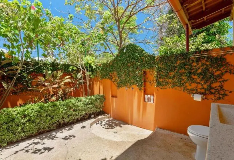 Standard-studio Parveke, Anamaya Resort