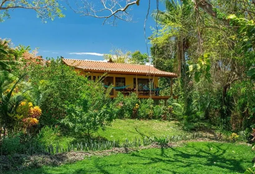 Standard-studio Parveke, Anamaya Resort