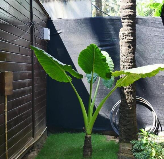 חדר דלוקס עם מרפסת, O3 Beach Resort