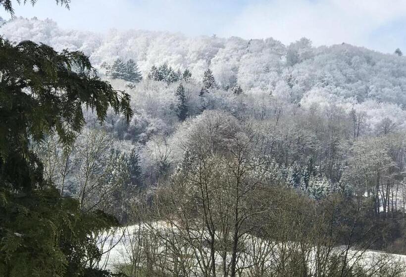 غرفة إقتصادية, Bed N Breakfast Obermumpf