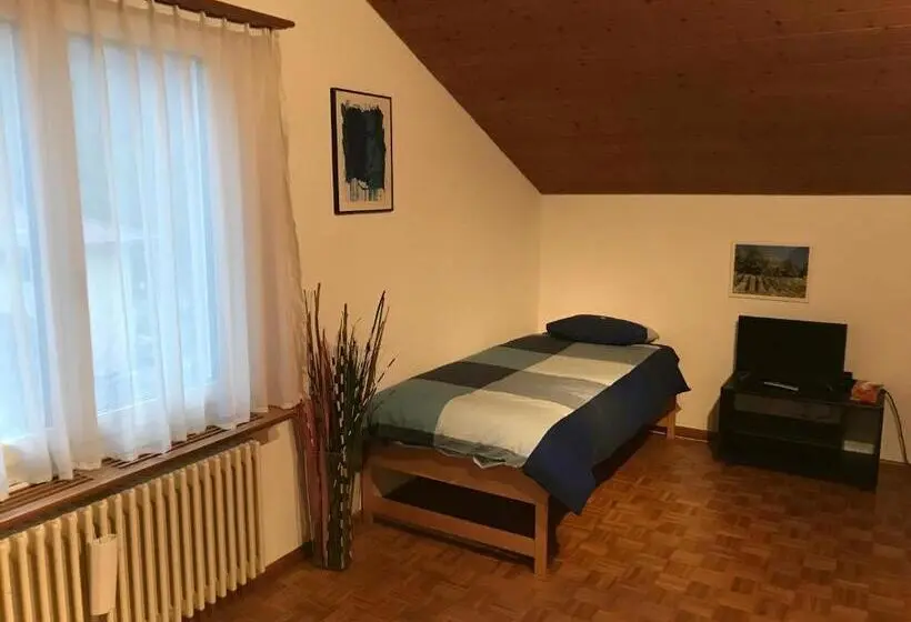 ガーデンビュースタンダードルーム, Bed N Breakfast Obermumpf