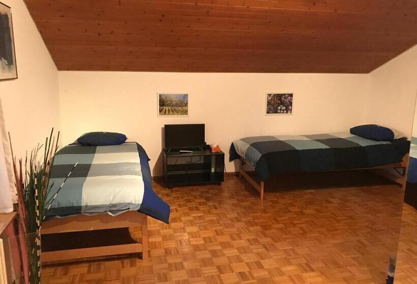Номер Стандарт Вид на Сад, Bed N Breakfast Obermumpf