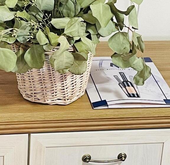 غرفة قياسية, Marcincak