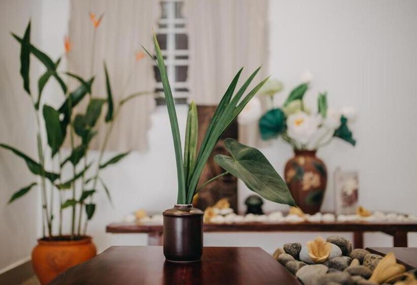 اتاق لوکس با بالکن, Tâm Homestay