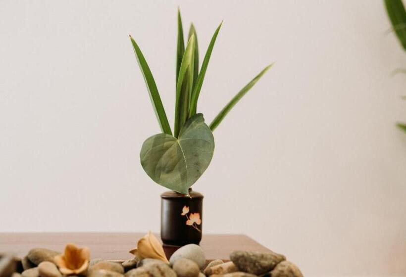 اتاق لوکس با بالکن, Tâm Homestay