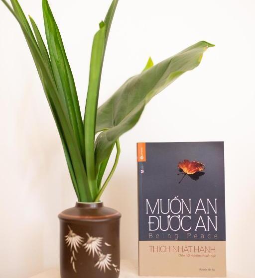 اتاق لوکس با بالکن, Tâm Homestay