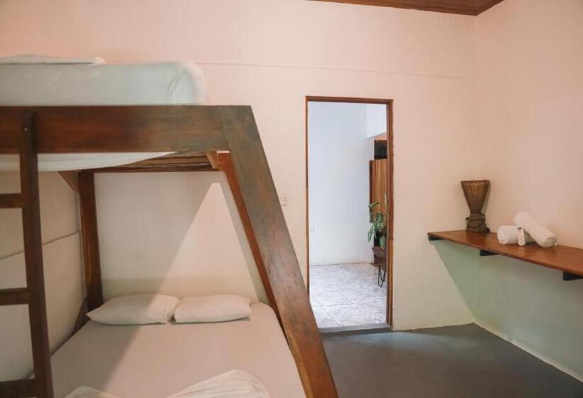 标准三人间共用浴室, Zeneidas Surf Garden