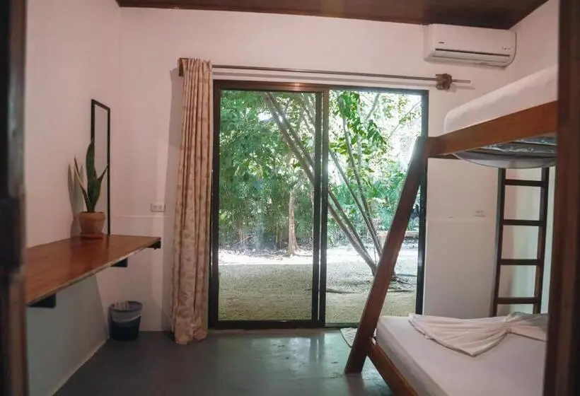 اتاق استاندارد سه تخته با سرویس بهداشتی مشترک, Zeneidas Surf Garden