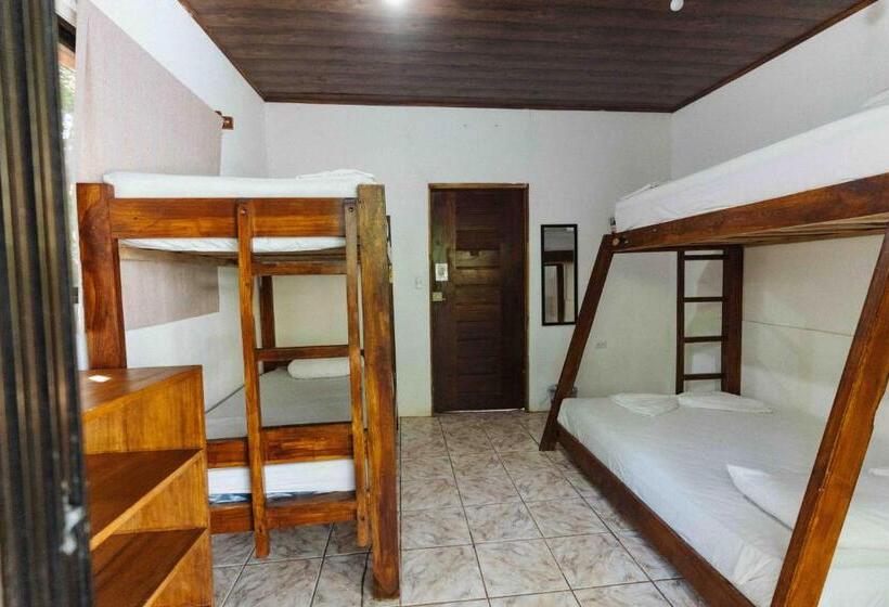 家庭房间共用浴室, Zeneidas Surf Garden