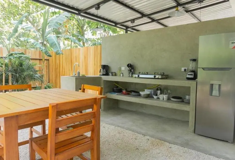 استودیوی لوکس, Zeneidas Surf Garden