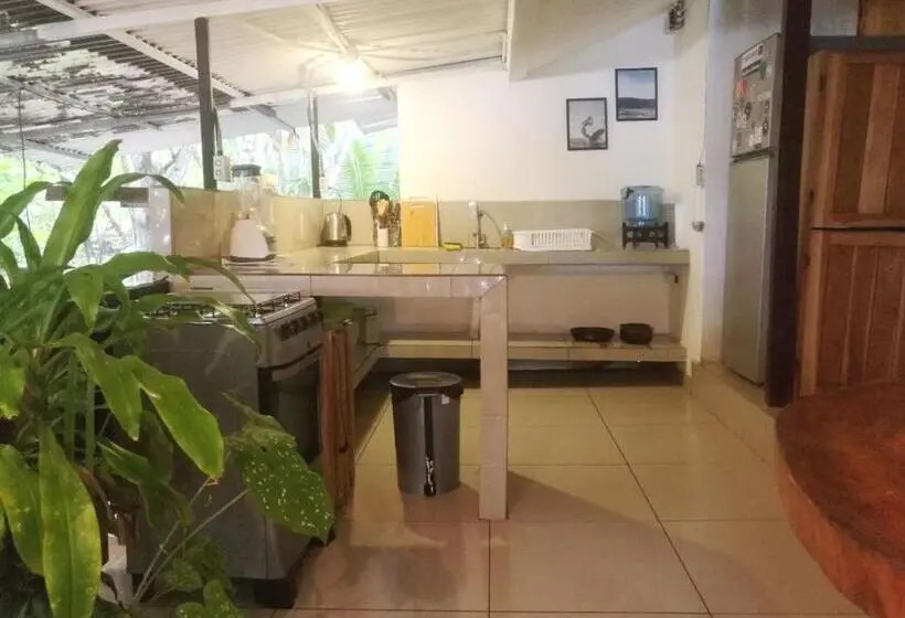 آپارتمان 1 خوابه با بالکن, Zeneidas Surf Garden