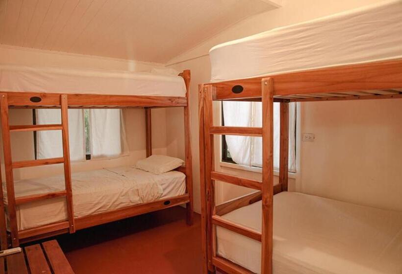 共用房间的床, Zeneidas Surf Garden