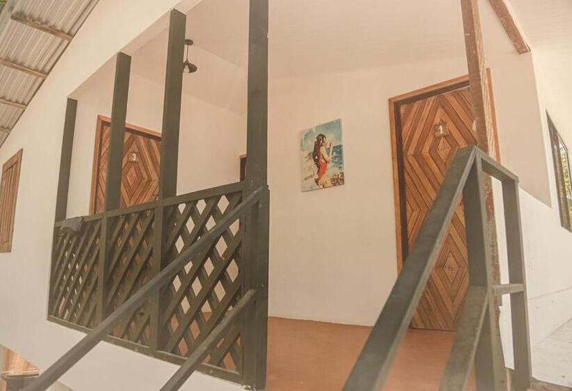 Кровать в Общей Комнате, Zeneidas Surf Garden