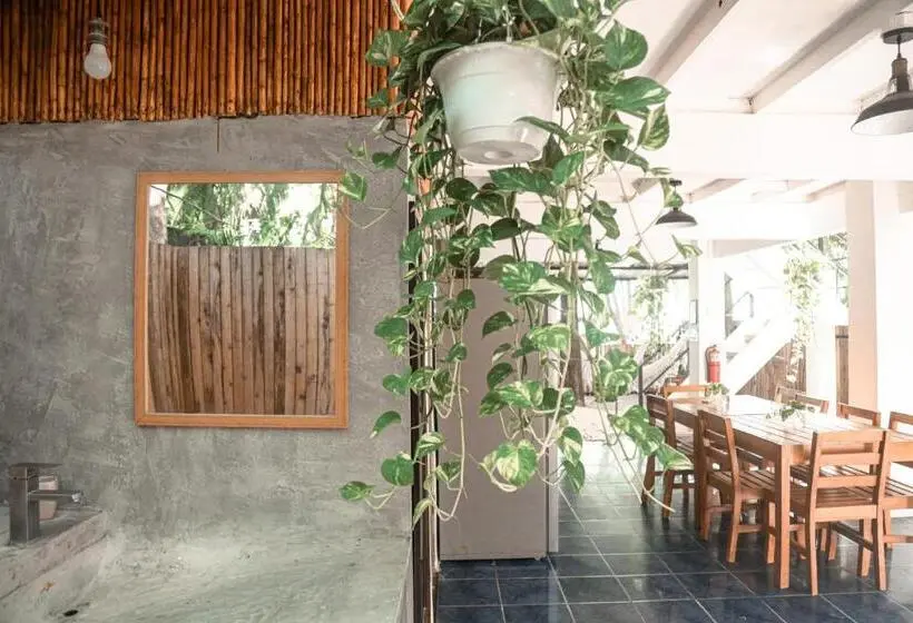 تختخواب در اتاق مشترک, Zeneidas Surf Garden