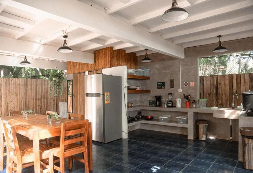 共用房间的床, Zeneidas Surf Garden