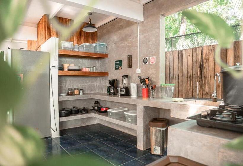 共用房间的床, Zeneidas Surf Garden