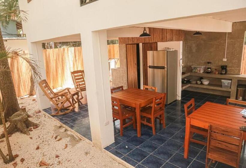 共用房间的床, Zeneidas Surf Garden