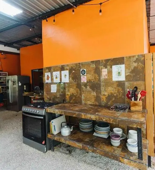 اتاق اکونومی یک تخته, Zeneidas Surf Garden