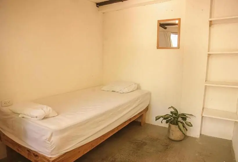 اتاق اکونومی یک تخته, Zeneidas Surf Garden