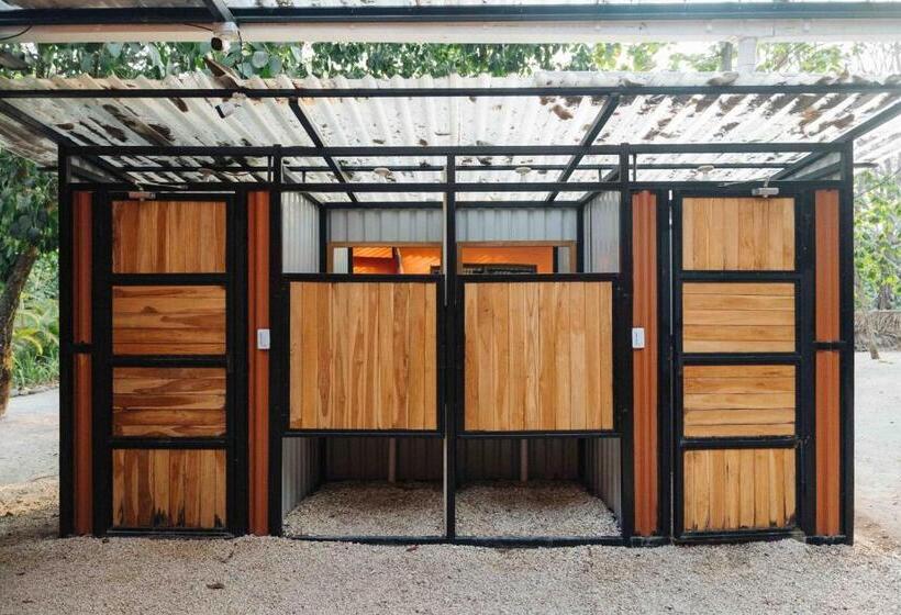 单人经济间, Zeneidas Surf Garden