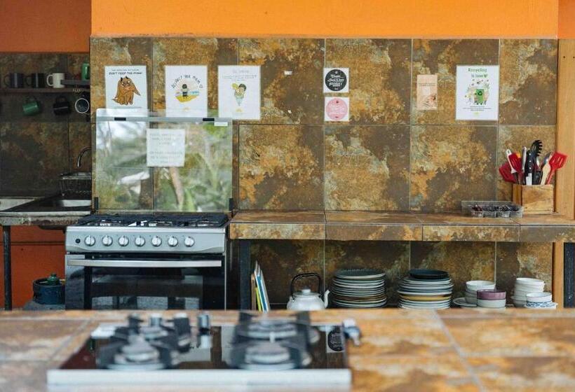 单人经济间, Zeneidas Surf Garden