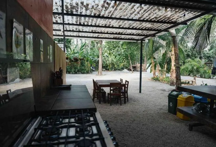 اتاق اکونومی, Zeneidas Surf Garden