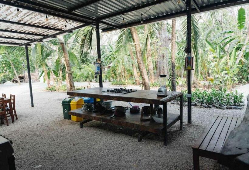 经济房, Zeneidas Surf Garden