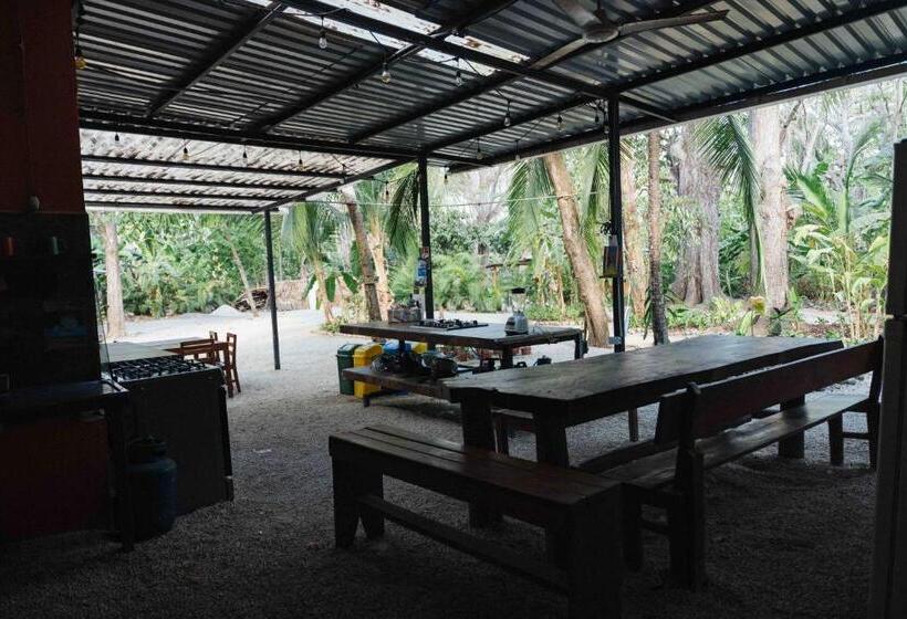 经济房, Zeneidas Surf Garden