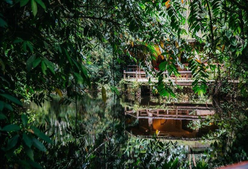 Бунгало Deluxe, Arahuana Jungle Resort & Spa