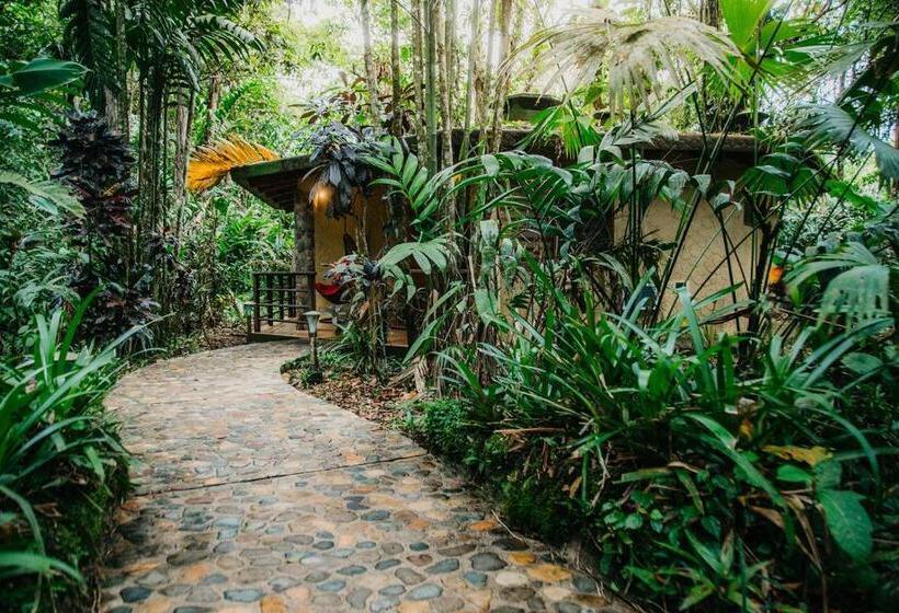 스탠다드 방갈로 정원 전망, Arahuana Jungle Resort & Spa