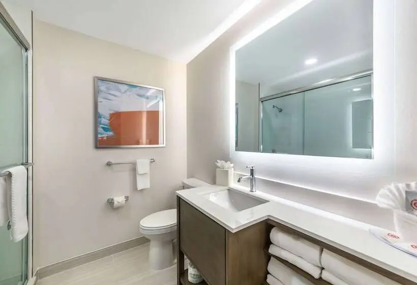 スイート, Comfort Suites Fort Myers East I 75