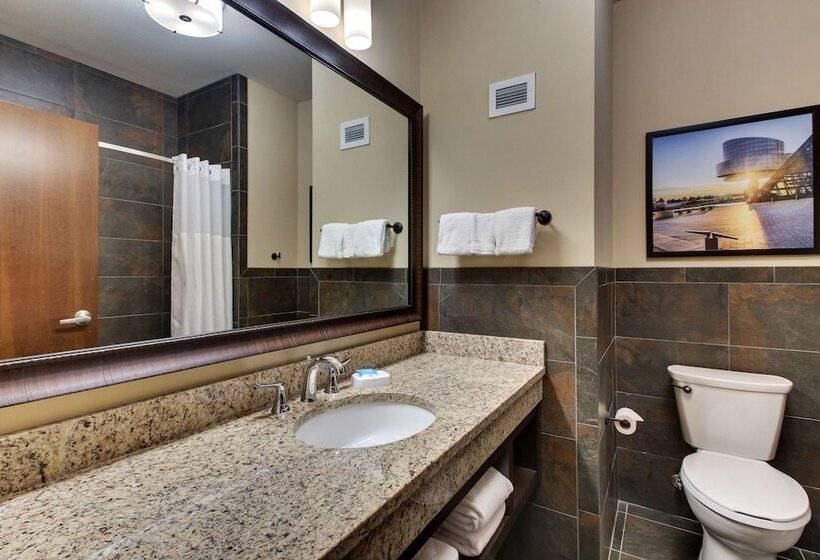 장애인용 디럭스룸, Drury Plaza Hotel Cleveland Downtown