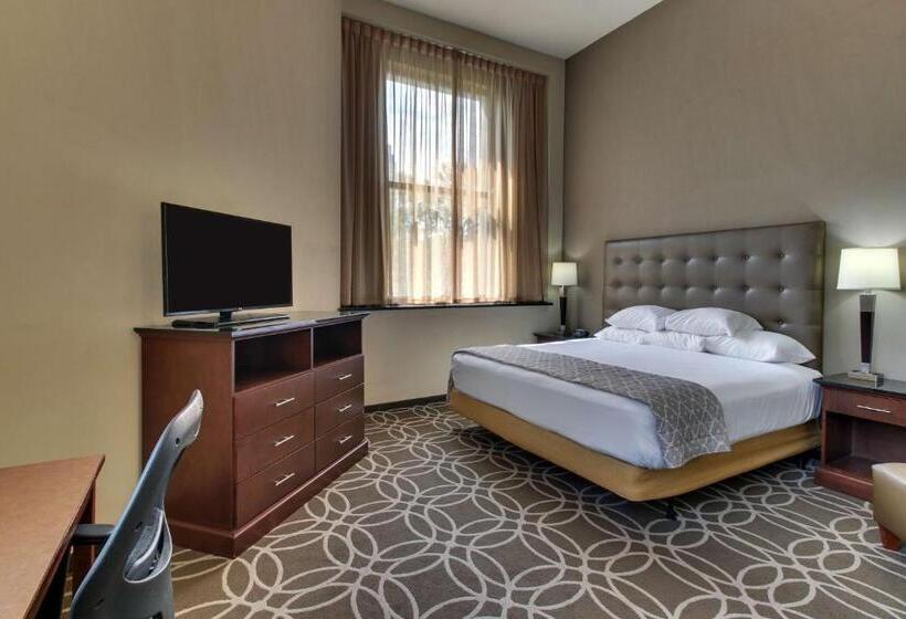 带大床的标准工作室, Drury Plaza Hotel Cleveland Downtown