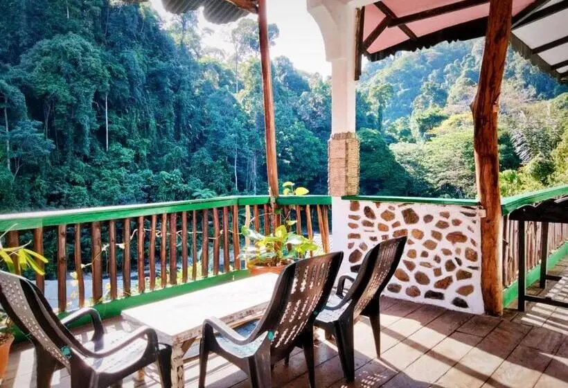 デラックスルーム, Jungle Inn Bukit Lawang