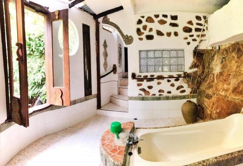 디럭스 룸, Jungle Inn Bukit Lawang