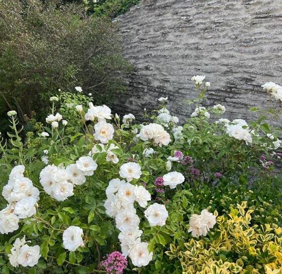Номер Стандарт Вид на Сад, La Borie En Provence