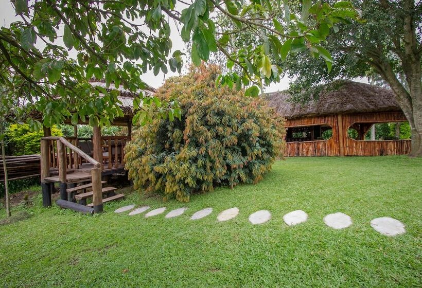 اتاق استاندارد, Tuzza