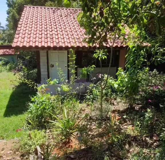 スタンダード4人部屋, Vila Flor Eco Centro