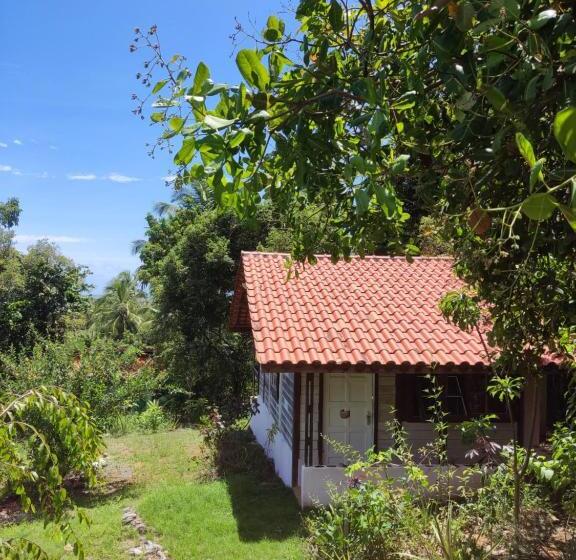Четырехместный Номер Стандарт, Vila Flor Eco Centro