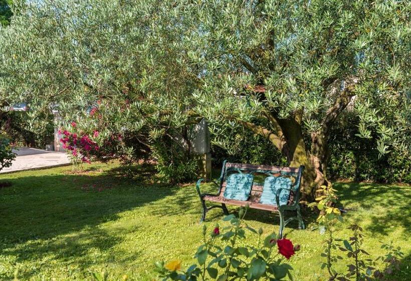 Standardrum, B&b Carmela