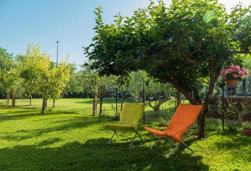 اتاق استاندارد با تراس, B&b Carmela