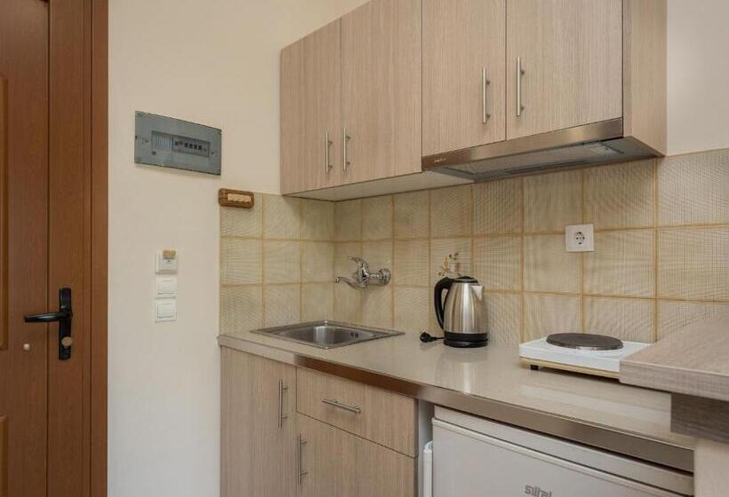 استودیوی استاندارد, Capriccio Studios